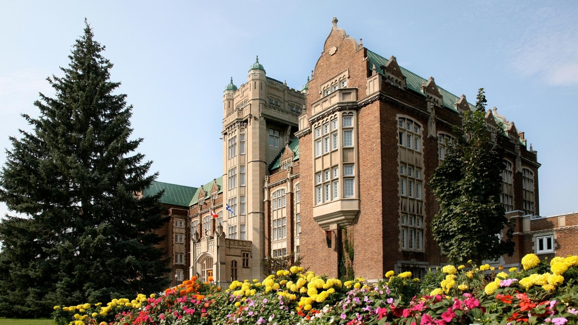 course-image