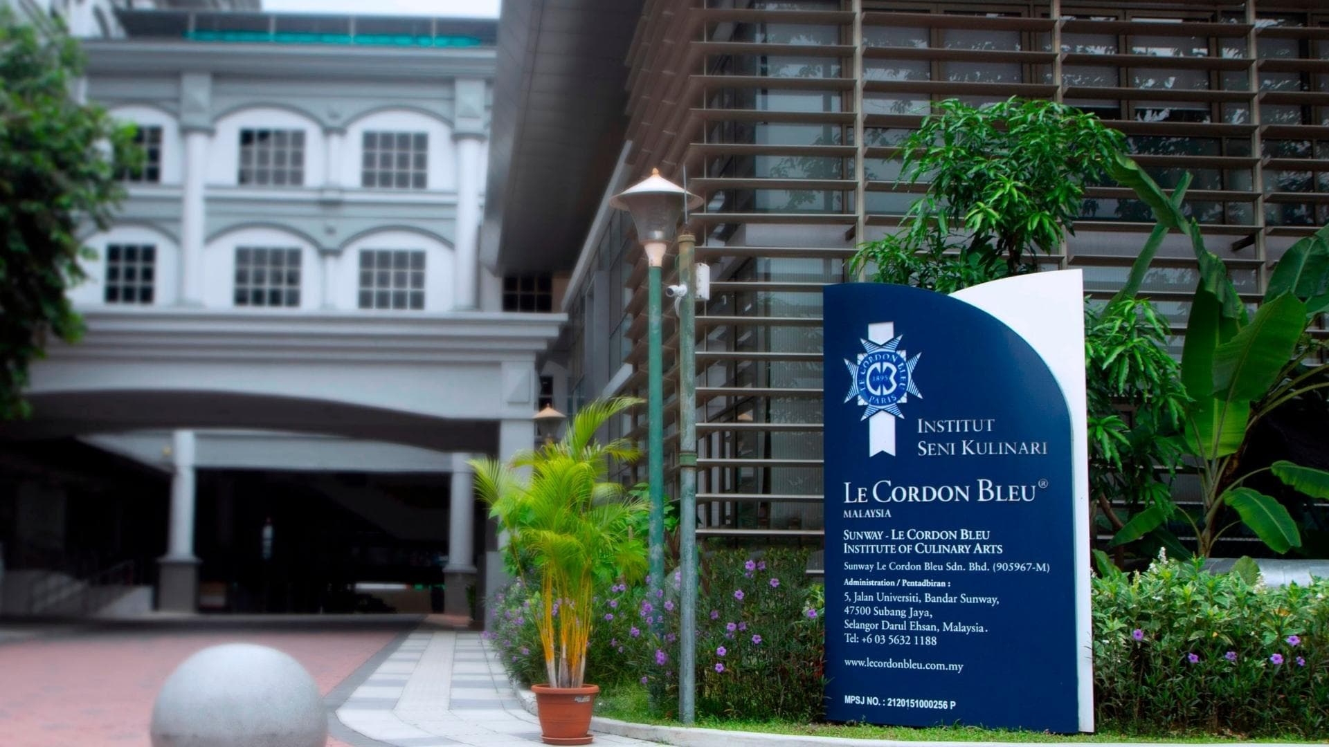 course-image