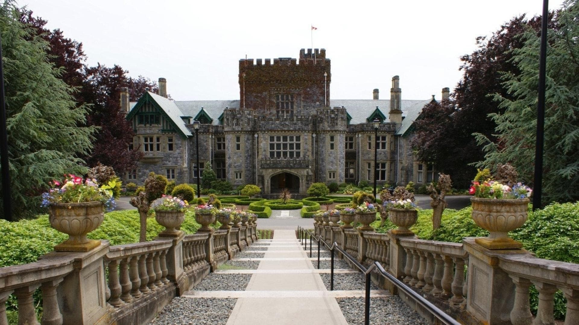 course-image