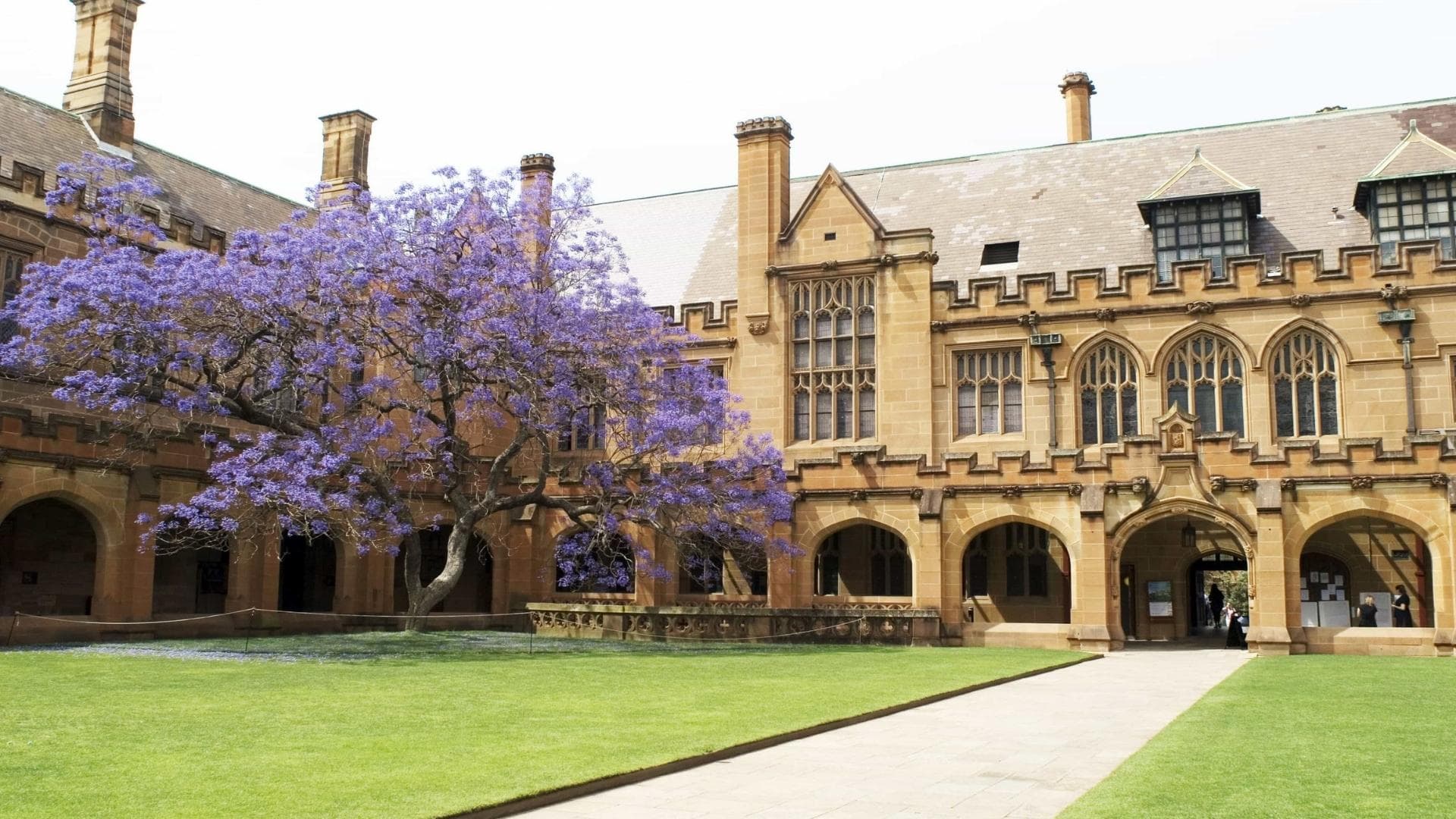 course-image