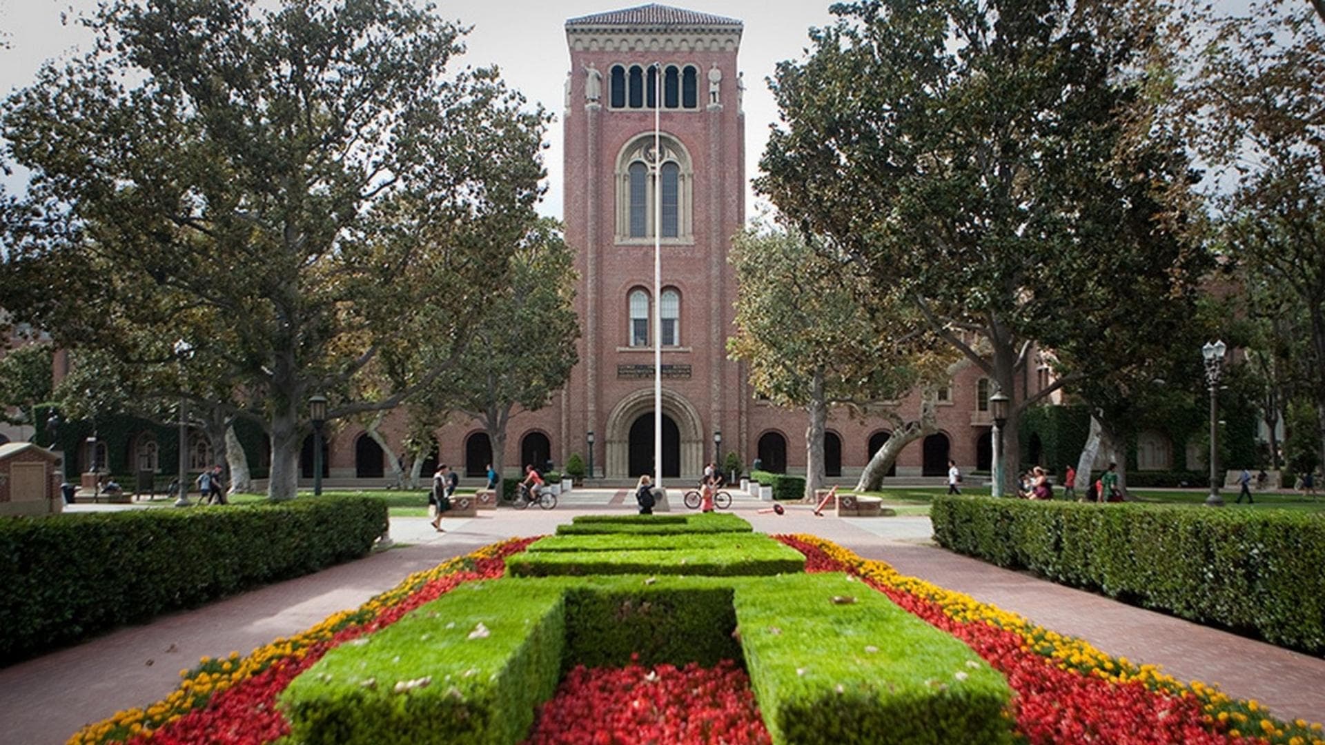 course-image