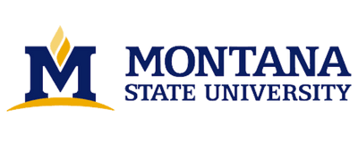 logo_url